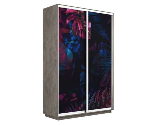 Шкаф-купе Экспресс Люкс 2-х дверный (Фото №1004 Джунгли темные), Бетон